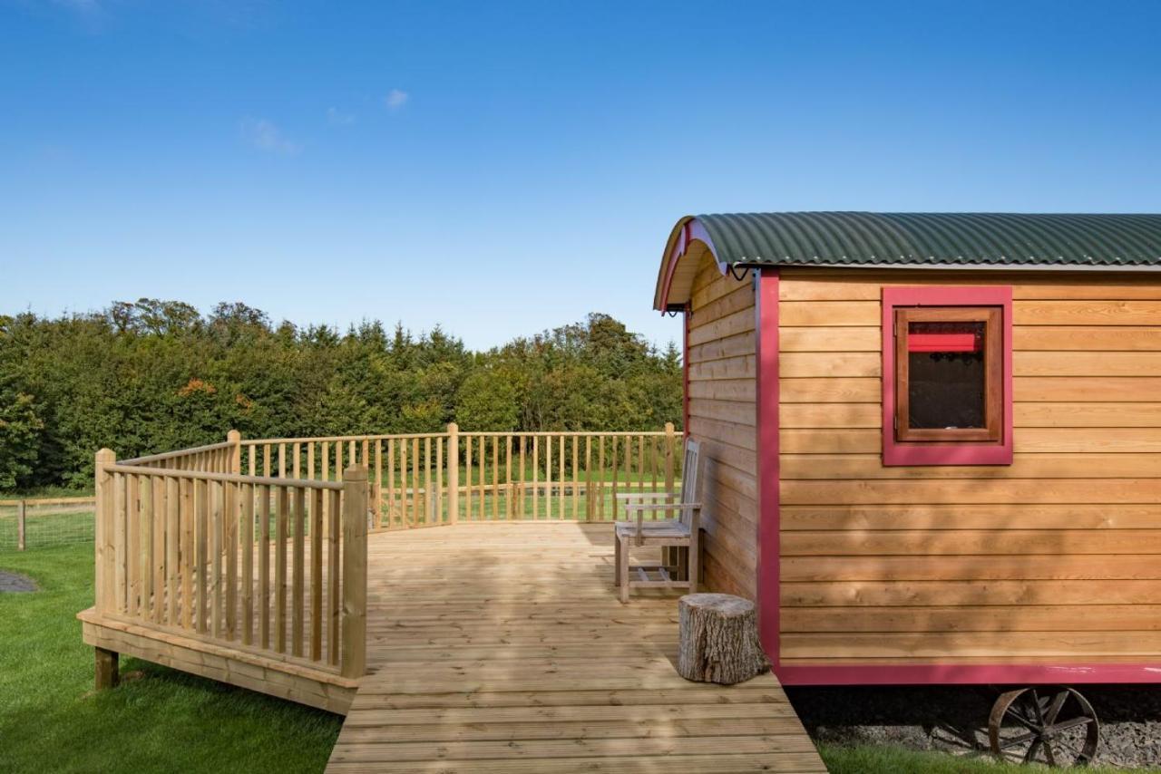 Foxglove Shepherd'S Hut バーウィック・アポン・ツイード エクステリア 写真